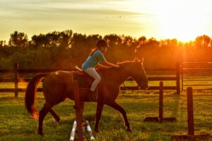 Astaxanthine voor dieren in private label supplementen voor antioxidatieve ondersteuning